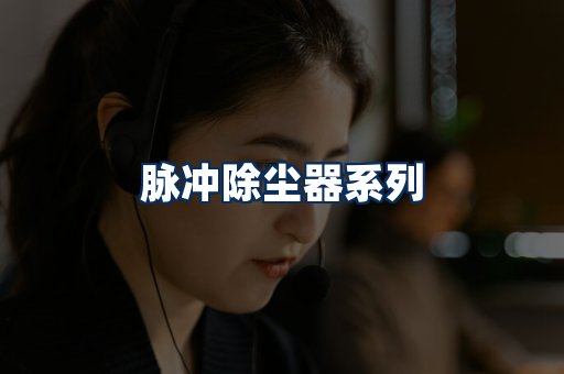 脉冲除尘器展示